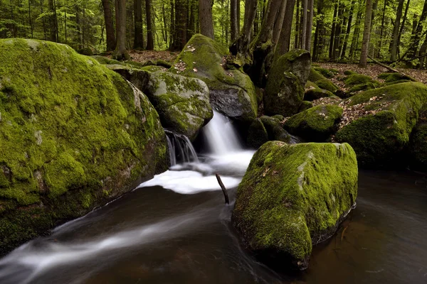 Bavarian Forest Nnikon D800E N08 2013 — Foto de Stock