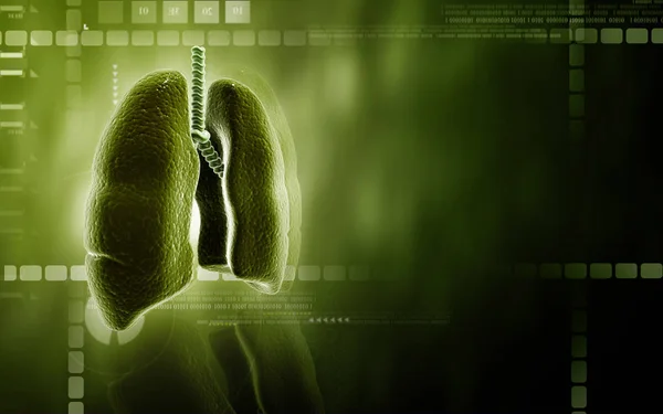 Digital Illustration Human Lungs Colour Background — Stock Photo, Image
