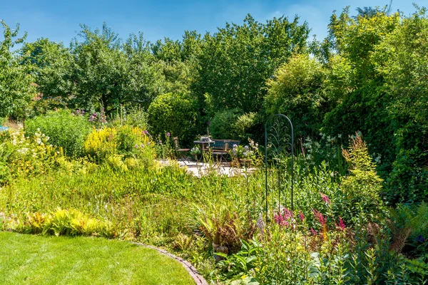 Природний Дизайн Саду Влітку — стокове фото