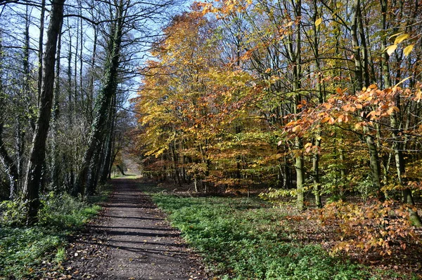 Vue Panoramique Sur Magnifique Parc Château — Photo