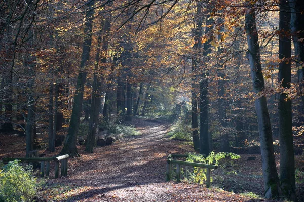 Panoramisch Uitzicht Prachtig Kasteelpark — Stockfoto