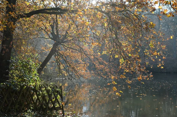 Malowniczy Widok Piękny Park Zamkowy — Zdjęcie stockowe