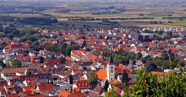 Blick Über Schriesheim Rheintal — Stockfoto