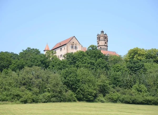 Blick Auf Maisfeld Landwirtschaftliches Konzept — Stockfoto