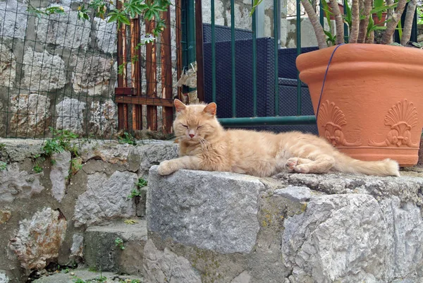 Místo Ostrově Burano — Stock fotografie