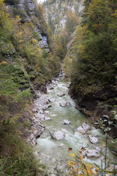 Vacker Utsikt Över Naturen — Stockfoto