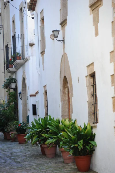 Tossa Mar Costa Brava Espía Fachadas Castillo — Foto de Stock