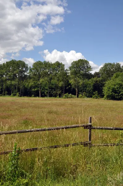 Pasture Meadow Field Forest Forest Edge Fence Weidezaun Sky Cloud — Stock Photo, Image