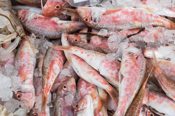 Salmonetes Para Venda Mercado Local Peixe — Fotografia de Stock