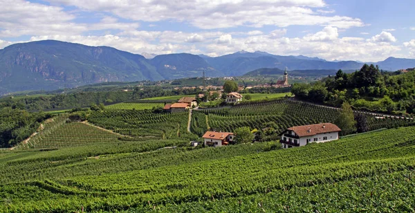 Panoramiczne Pauls Drodze Wina — Zdjęcie stockowe
