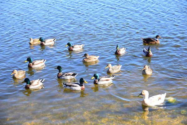 Mittelmeersteine Spanien — Stockfoto