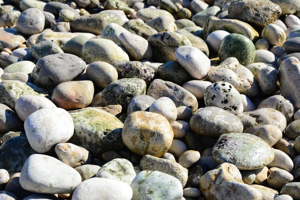 Пляжные Камни Камни Галька — стоковое фото