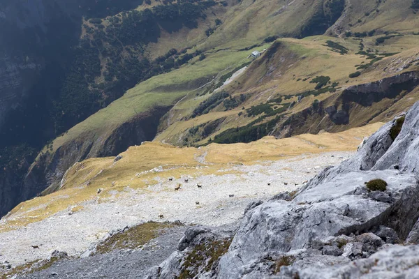 Sonnjoch Montanhas Rochosas Viajar Natureza Alpes — Fotografia de Stock