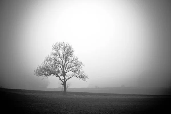 Belle Vue Sur Les Paysages Naturels — Photo