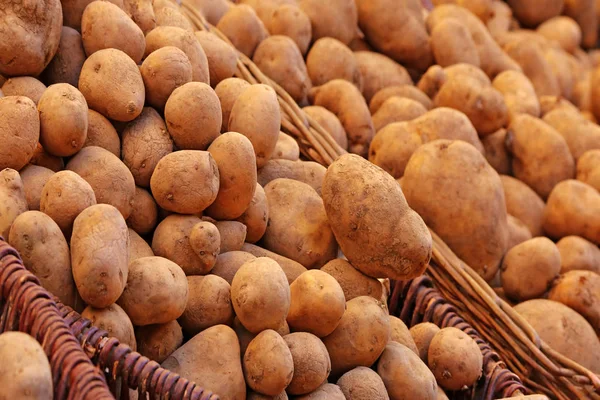 Έκθεση Πατάτας Στην Εβδομαδιαία Αγορά — Φωτογραφία Αρχείου