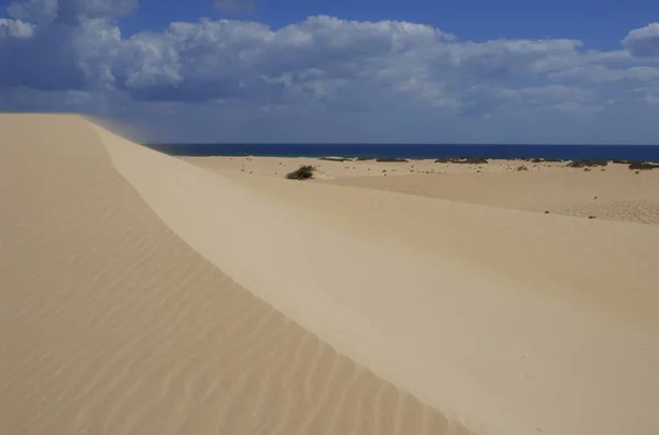 Sanddyner Vid Corralejo Fuerteventura Spanien — Stockfoto