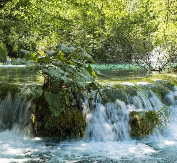 Élet Határ Menti Térségben — Stock Fotó