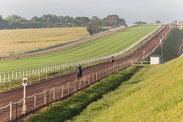 Horse Racing Žokej Jezdec Ranní Trénink Krajina — Stock fotografie