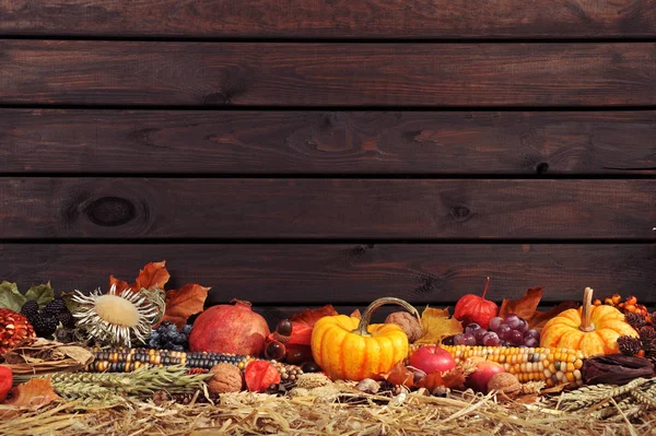 Prachtig Kleurrijk Herfstblad — Stockfoto