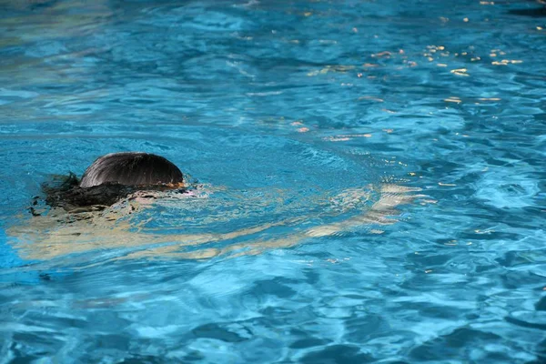 Una Niña Formación Natación — Foto de Stock