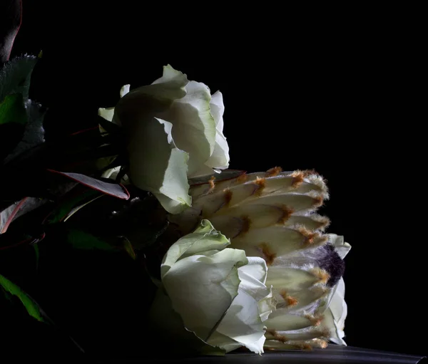 Roses Blanches Fleurs Pétales — Photo