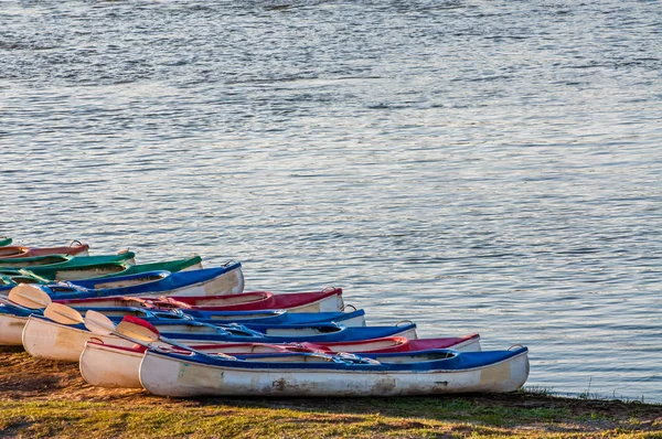 Several Kayaks Lined One Next Other River Bank Ready Adventures — Stock Photo, Image