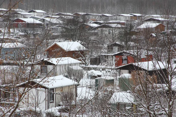 Урочище Взимку — стокове фото