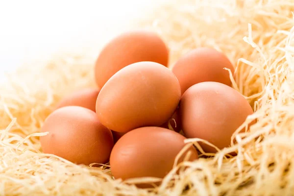 Verschillende Ingrediënten Selectieve Focus — Stockfoto