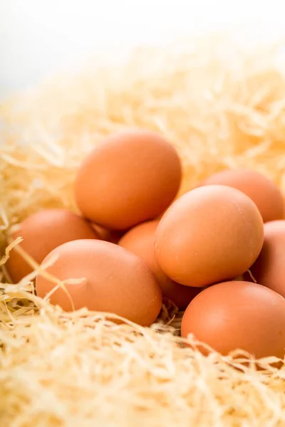 Verschillende Eieren Het Rietje Ingebed — Stockfoto