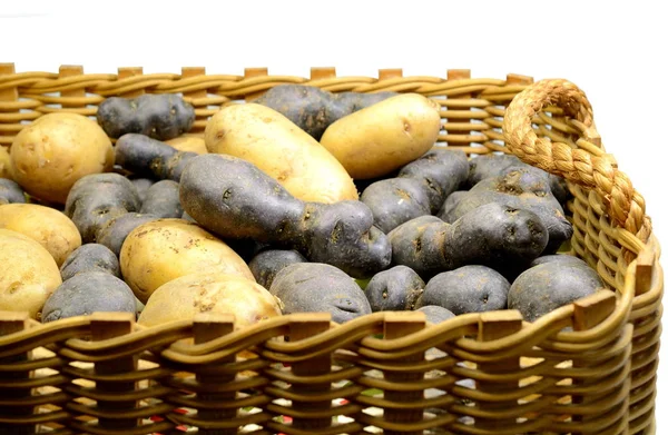 Várias Variedades Batatas Cesta — Fotografia de Stock