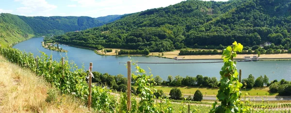 Moseldal Mellan Traben Trarbach Och Enkirch Panorama — Stockfoto