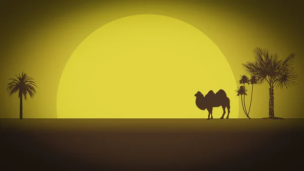 Одинокий Верблюд Пустыне Закате Векторной Картинке — стоковое фото