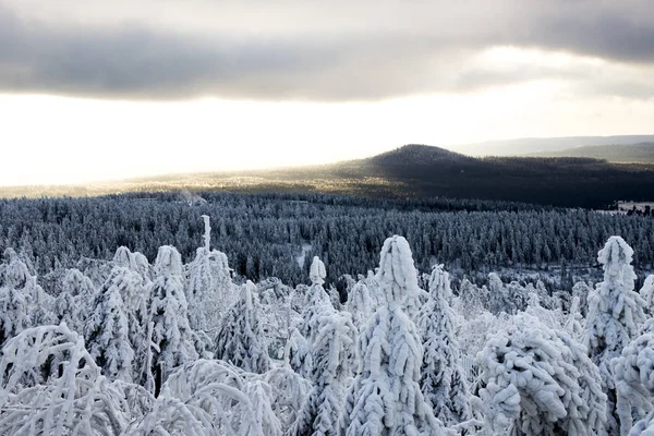 Nevados Árboles Sol Nubes Montaña Aerea Erzgbirge Alemania —  Fotos de Stock