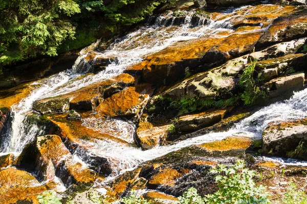 Bach Stone Run Resin — Stock Photo, Image