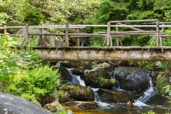 Hermosa Vista Naturaleza Escena — Foto de Stock