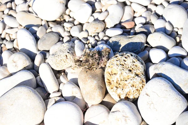 海滩上的铺路石 灰色的岩石 — 图库照片