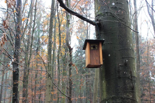 Vue Pittoresque Sur Les Paysages Campagne — Photo