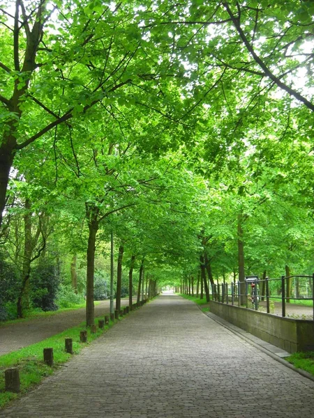 Passerella Pista Ciclabile Diga Sorgente Natura — Foto Stock