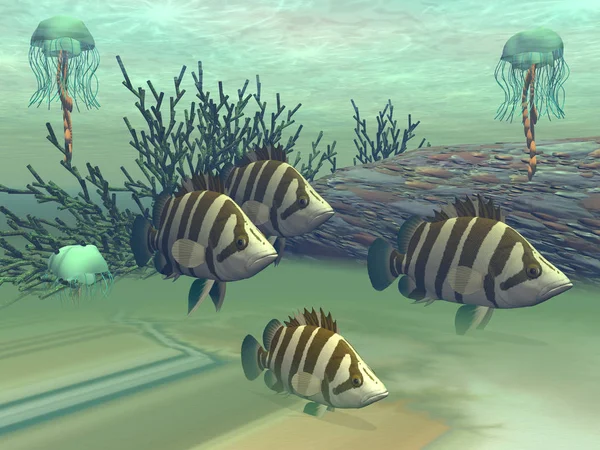 Ryby Medúzy Mořském Dně — Stock fotografie