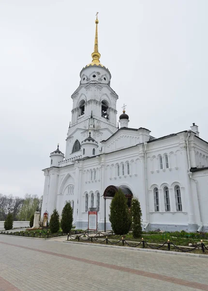 Собор Успіння Володимирі Росія — стокове фото