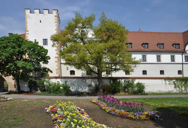 Blumen Zeughaus Amberg — Stockfoto