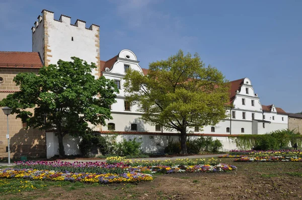 Blommor Vid Arsenalen Amberg — Stockfoto