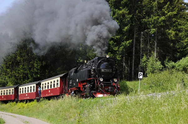 Ferrovia Bitola Estreita Sob Custódia Harz — Fotografia de Stock