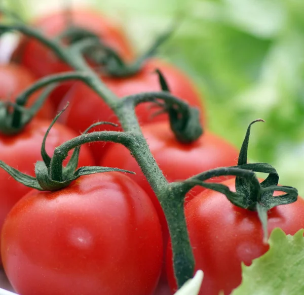 Different Food Selective Focus — Stock Photo, Image