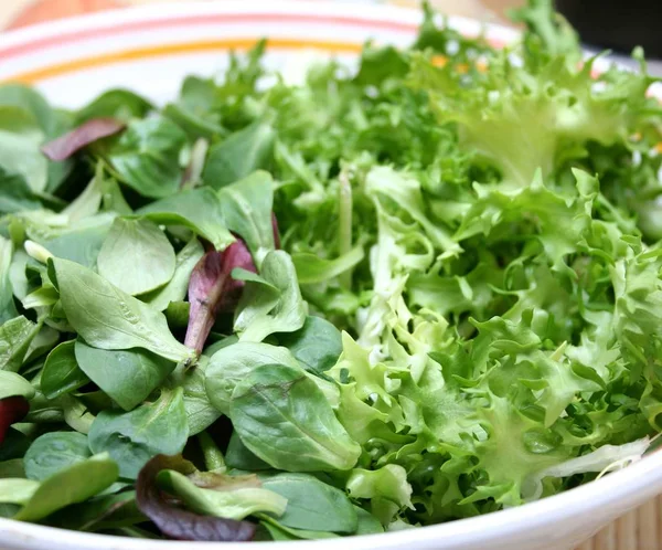 Verse Groene Sla Salade Bladeren — Stockfoto