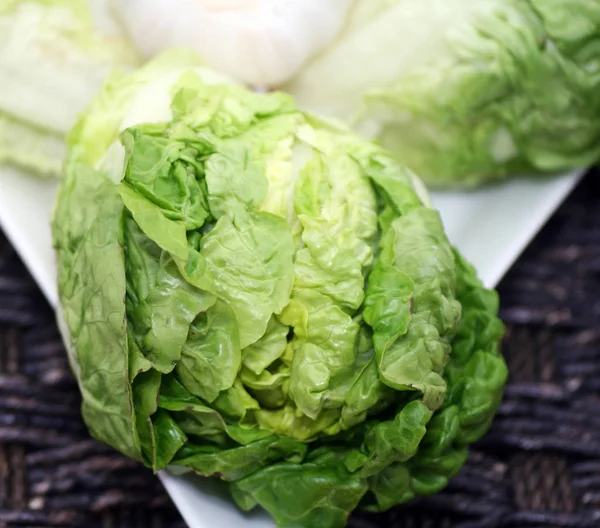 Hojas Ensalada Lechuga Verde Fresca —  Fotos de Stock