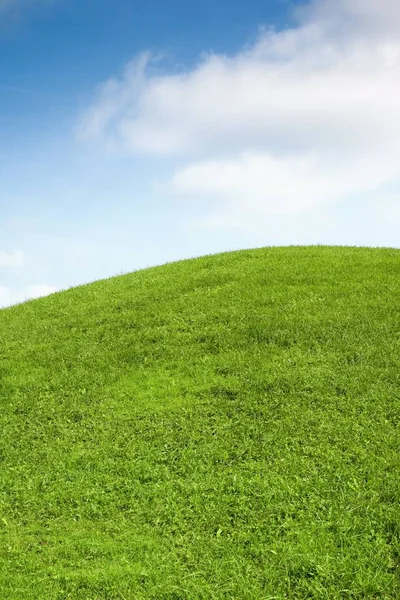 Ett Fotografi Den Blå Himlen Och Den Gröna Ängen — Stockfoto