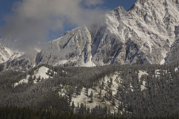 Neuschnee Auf Wald Und Mount Ishbel Banff National Park Alberta — Stockfoto