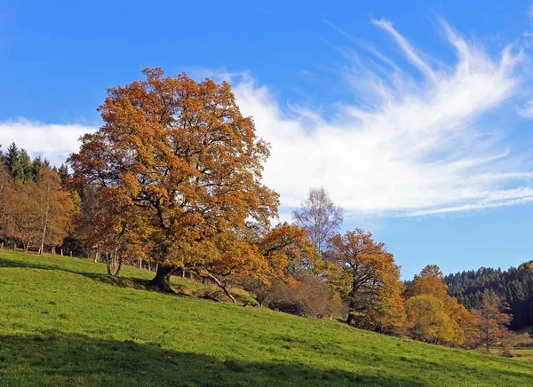 Zonnige Herfstdag Hochsauerland — Stockfoto