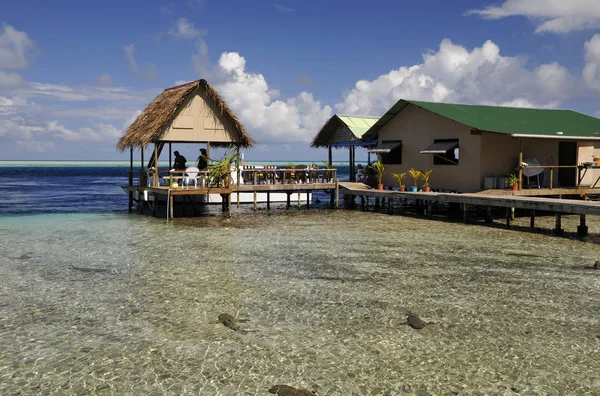 몰디브 섬에서의 — 스톡 사진